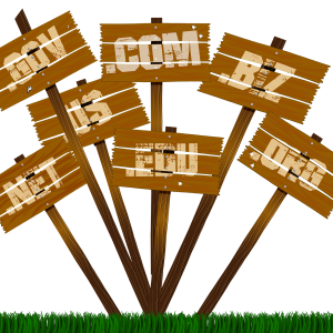 Dominio Internacional